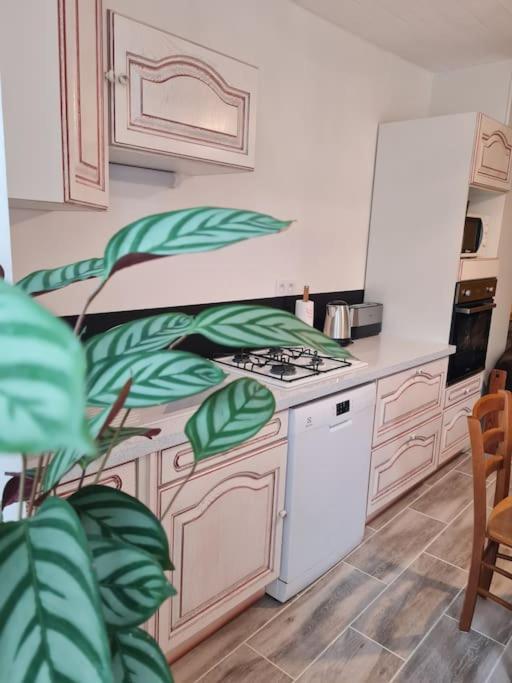 Gite Du Bibicherat Largillay-Marsonnay Esterno foto